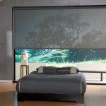 Roller Screen Shades for Large Windows