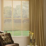Roller Screen Shades with Drapery