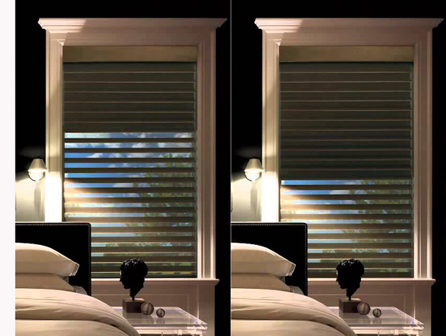Hunter Douglas Silhouette® A Deux™ Window Shadings