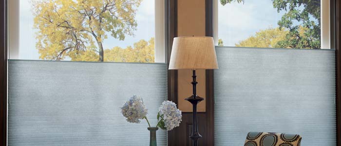 A Window Treatment That Can Meet Your, Lamp Shades Dallas Texas