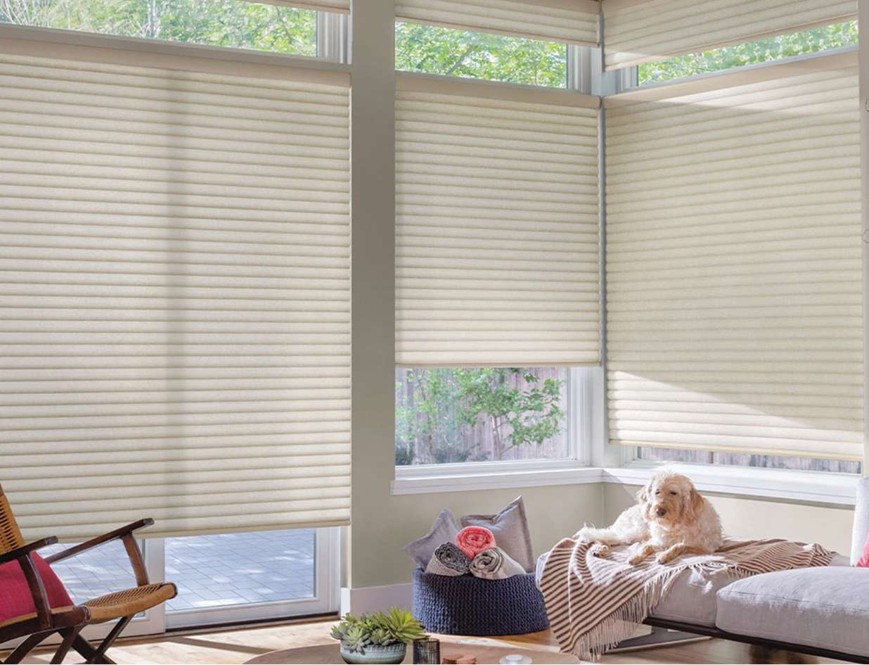 Rectangle 34627753-3