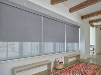 Designer Roller Shades with Duolite®