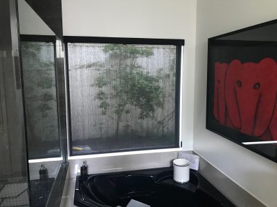 Hunter Douglas Designer Screen Shade